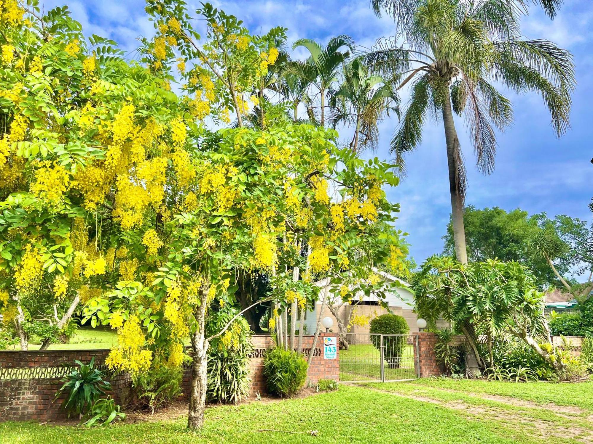 St Lucia Holiday Cottage Extérieur photo